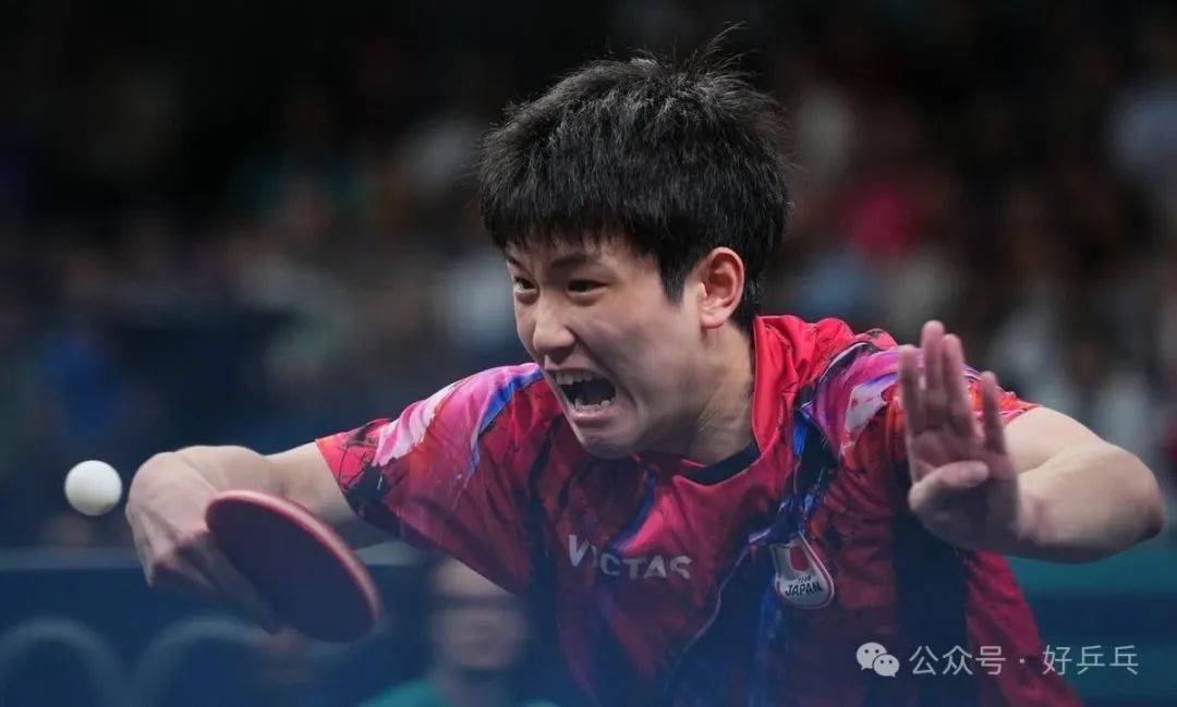 IM体育官方网站-日本乒乓球队爆冷波兰乒乓球队，张本智和制霸全场的简单介绍