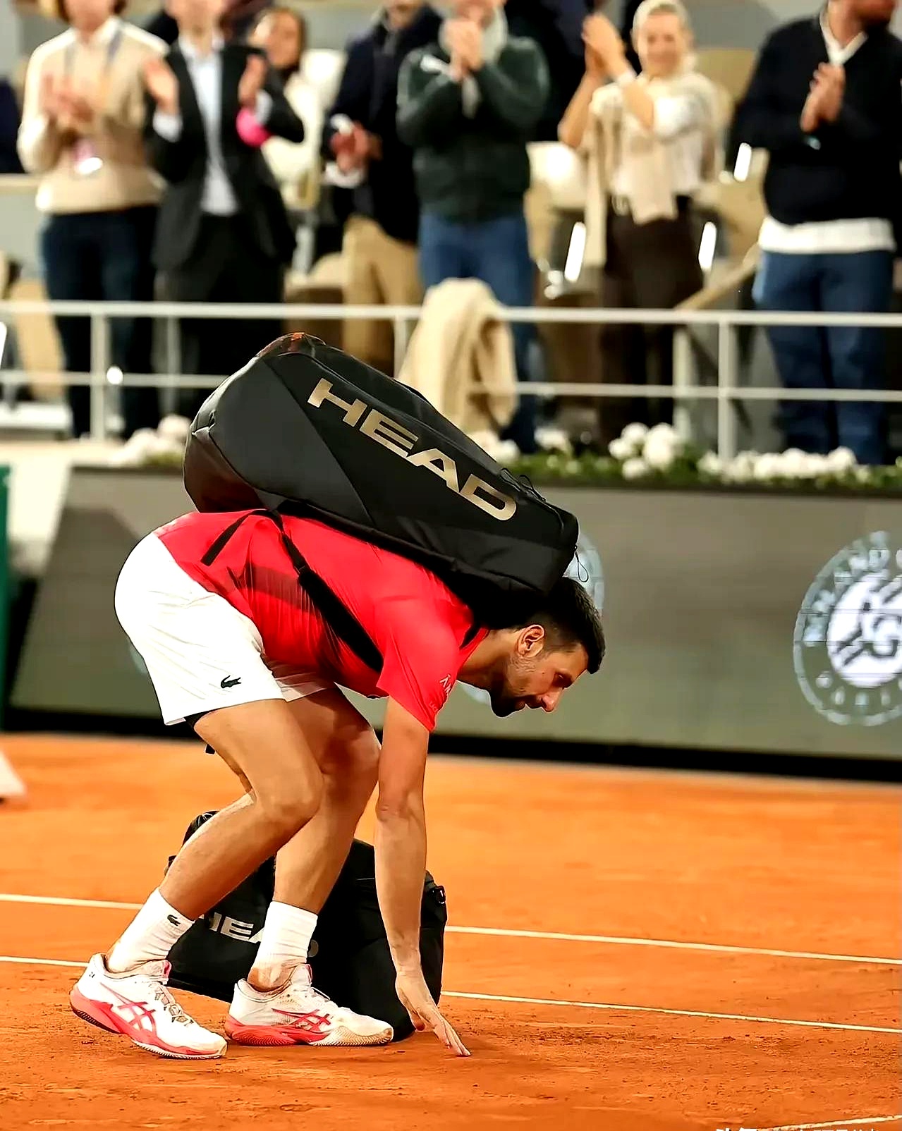 IM体育平台-世界网球队血洗澳大利亚网球队，德约科维奇关键制胜的简单介绍