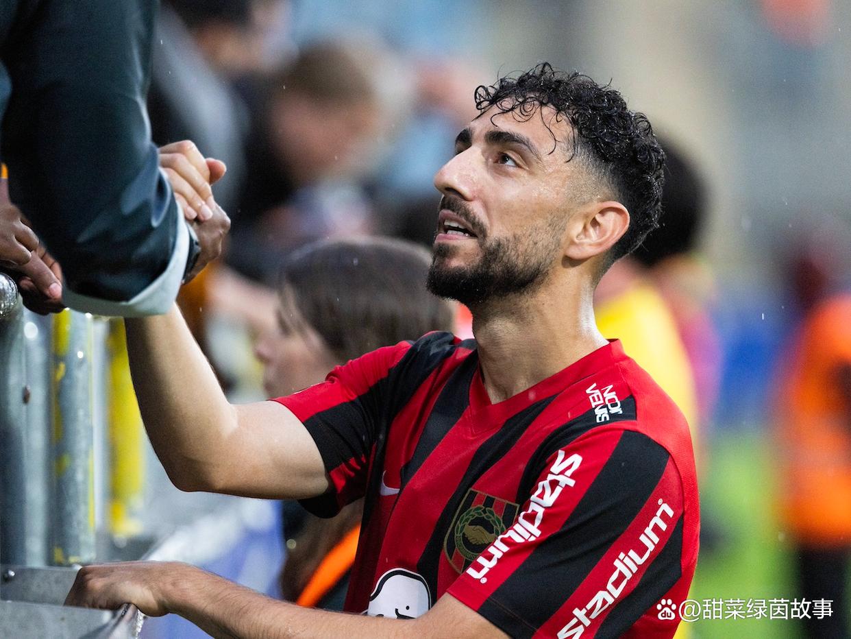 IM体育官网入口-瑞典客场击败摩尔多瓦，欧洲杯资格赛形势稳定